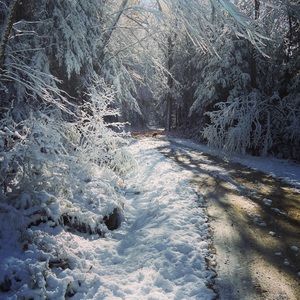 Meet your Posher, Al